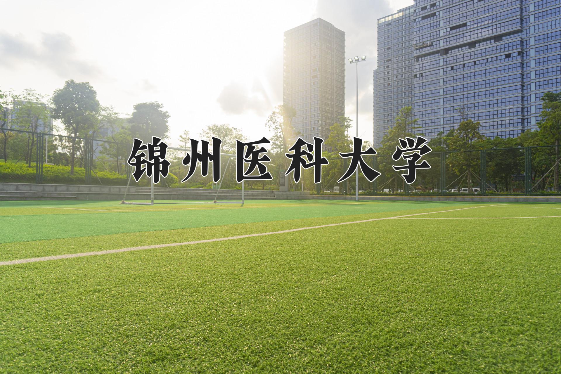 锦州医科大学