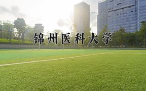 2024年锦州医科大学在重庆计划招生人数（附学费及专业录取分)