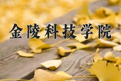 2024年金陵科技学院在重庆计划招生人数（附学费及专业录取分)
