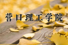 2024年营口理工学院在河北计划招生人数（附学费及专业录取分)