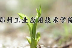 2024年郑州工业应用技术学院在河北计划招生人数（附学费及专业录取分)