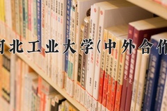 2024年河北工业大学(中外合作)在重庆计划招生人数（附学费及专业录取分)