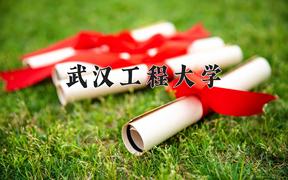 2024年武汉工程大学在重庆计划招生人数（附学费及专业录取分)