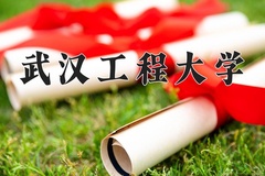 2024年武汉工程大学在重庆计划招生人数（附学费及专业录取分)