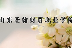 2024年山东圣翰财贸职业学院在重庆计划招生人数（附学费及专业录取分)
