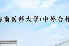 2024年海南医科大学(中外合作)在重庆计划招生人数（附学费及专业录取分)