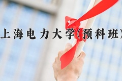 2024年上海电力大学(预科班)在重庆计划招生人数（附学费及专业录取分)