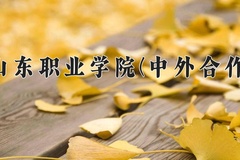 2024年山东职业学院(中外合作)在重庆计划招生人数（附学费及专业录取分)
