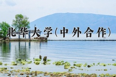 2024年北华大学(中外合作)在重庆计划招生人数（附学费及专业录取分)