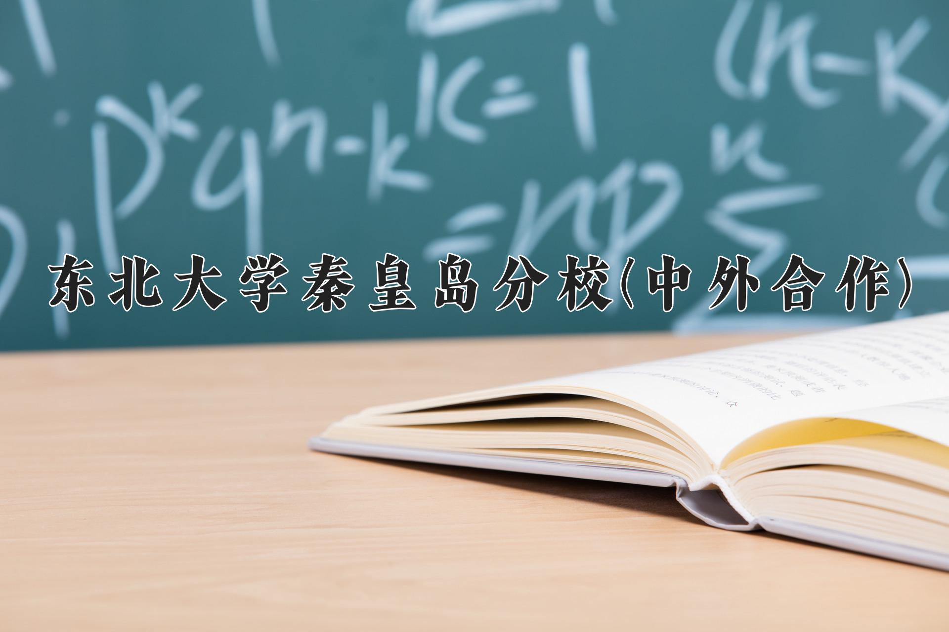 东北大学秦皇岛分校(中外合作)