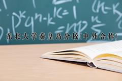 2024年东北大学秦皇岛分校(中外合作)在重庆计划招生人数（附学费及专业录取分)