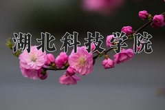 2024年湖北科技学院在重庆计划招生人数（附学费及专业录取分)