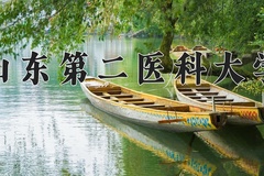 2024年山东第二医科大学在重庆计划招生人数（附学费及专业录取分)