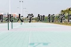 2024年湖北大学知行学院在河北计划招生人数（附学费及专业录取分)