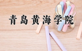 2024年青岛黄海学院在重庆计划招生人数（附学费及专业录取分)