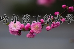 2024年哈尔滨工程大学在河北计划招生人数（附学费及专业录取分)