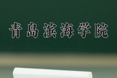 2024年青岛滨海学院在河北计划招生人数（附学费及专业录取分)