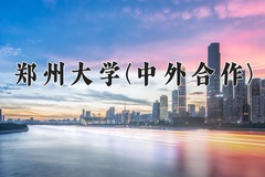 2024年郑州大学(中外合作)在重庆计划招生人数（附学费及专业录取分)