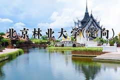 2024年北京林业大学(定向)在重庆计划招生人数（附学费及专业录取分)