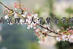 2024年南京理工大学紫金学院在重庆计划招生人数（附学费及专业录取分)