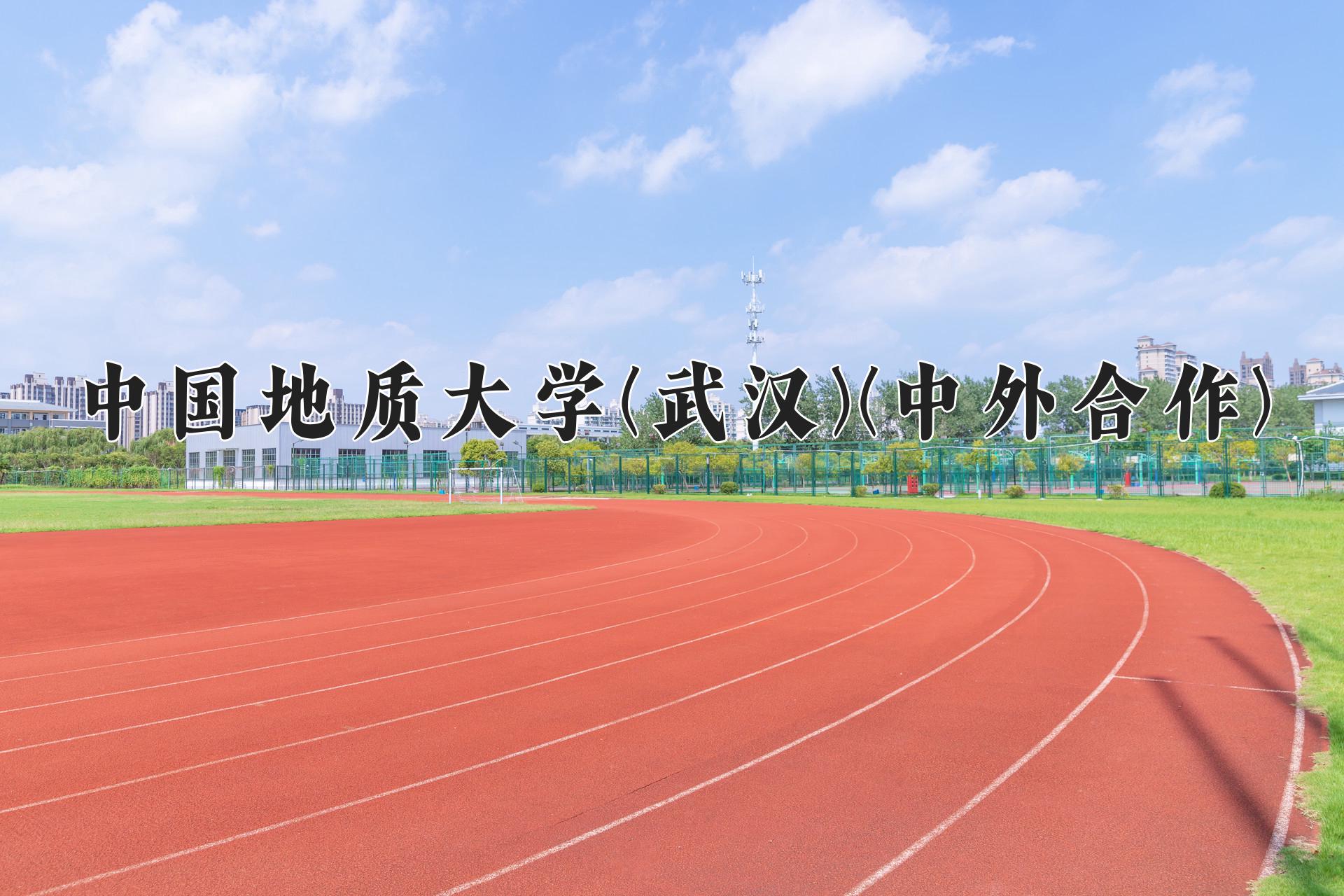 中国地质大学(武汉)(中外合作)