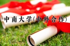 2024年中南大学(中外合作)在重庆计划招生人数（附学费及专业录取分)