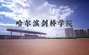 2024年哈尔滨剑桥学院在河北计划招生人数（附学费及专业录取分)