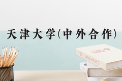 2024年天津大学(中外合作)在重庆计划招生人数（附学费及专业录取分)