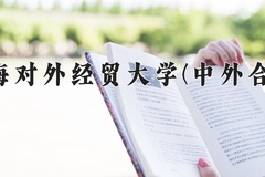 2024年上海对外经贸大学(中外合作)在重庆计划招生人数（附学费及专业录取分)