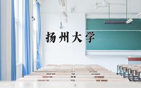 2024年扬州大学在河北计划招生人数（附学费及专业录取分)