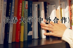 2024年长春大学(中外合作)在重庆计划招生人数（附学费及专业录取分)