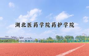 2024年湖北医药学院药护学院在重庆计划招生人数（附学费及专业录取分)