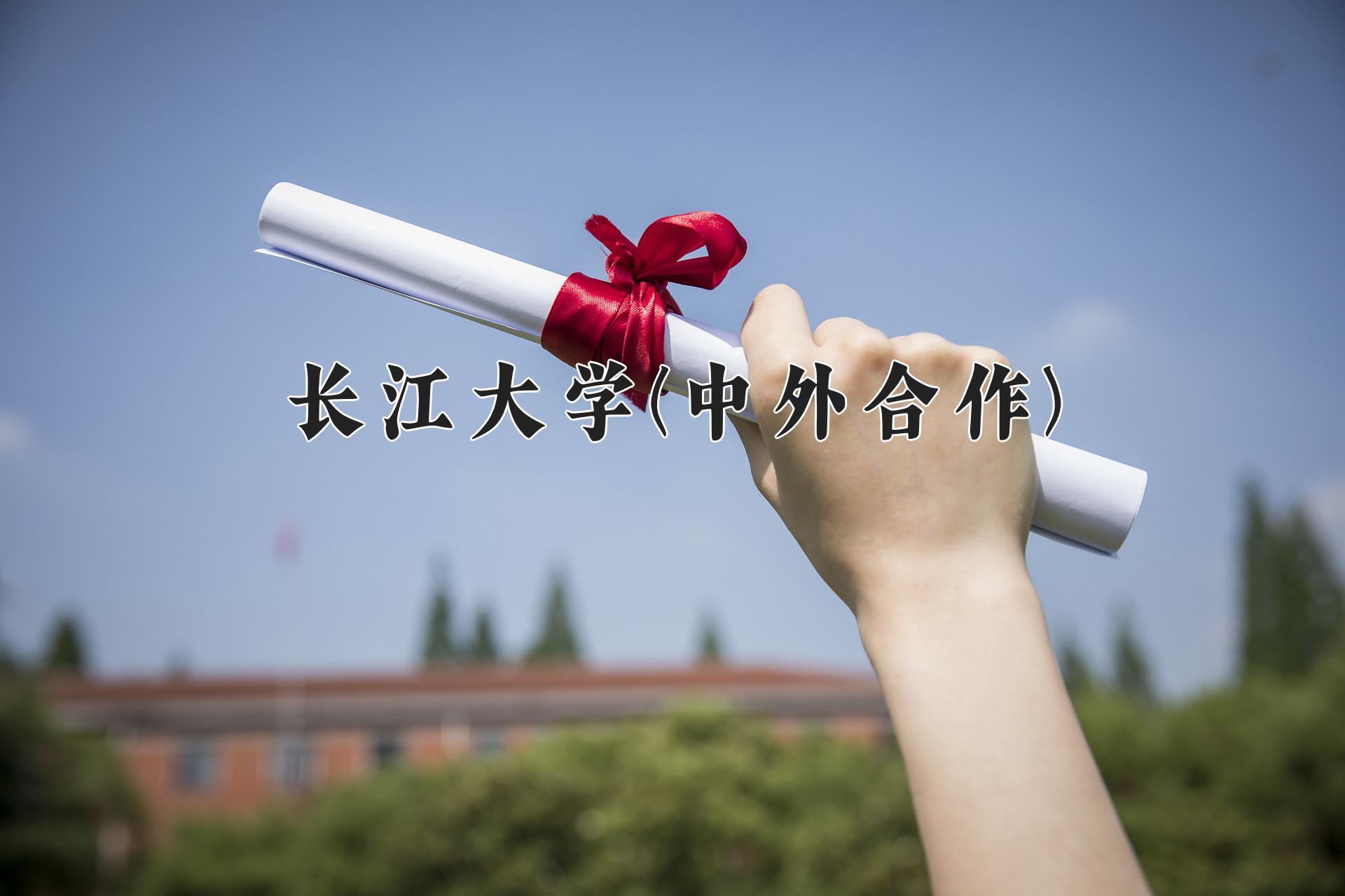 长江大学(中外合作)