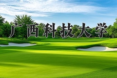 2024年广西科技大学在重庆计划招生人数（附学费及专业录取分)