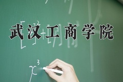 2024年武汉工商学院在重庆计划招生人数（附学费及专业录取分)