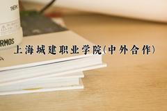 2024年上海城建职业学院(中外合作)在重庆计划招生人数（附学费及专业录取分)