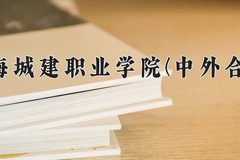2024年上海城建职业学院(中外合作)在重庆计划招生人数（附学费及专业录取分)