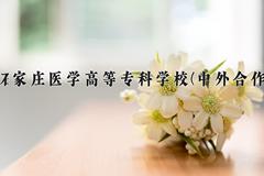 2024年石家庄医学高等专科学校(中外合作)在重庆计划招生人数（附学费及专业录取分)