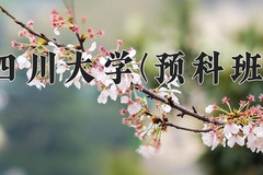 2024年四川大学(预科班)在重庆计划招生人数（附学费及专业录取分)