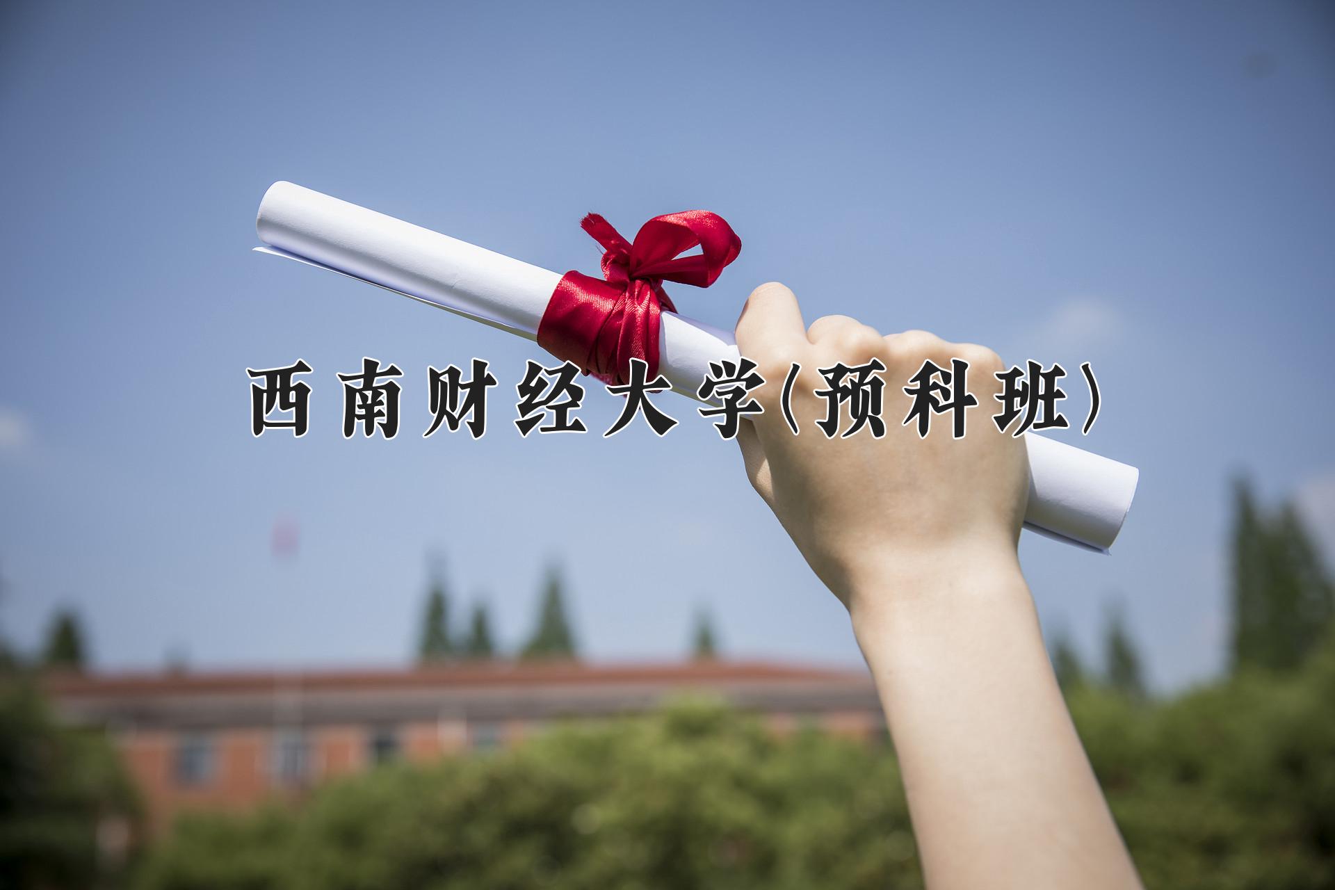 西南财经大学(预科班)