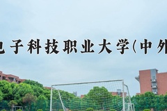 2024年重庆电子科技职业大学(中外合作)在重庆计划招生人数（附学费及专业录取分)