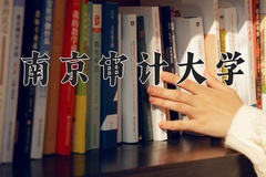 2024年南京审计大学在重庆计划招生人数（附学费及专业录取分)