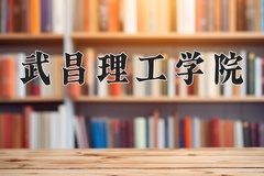 2024年武昌理工学院在河北计划招生人数（附学费及专业录取分)