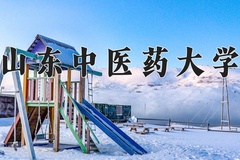 2024年山东中医药大学在河北计划招生人数（附学费及专业录取分)