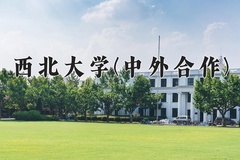 2024年西北大学(中外合作)在重庆计划招生人数（附学费及专业录取分)