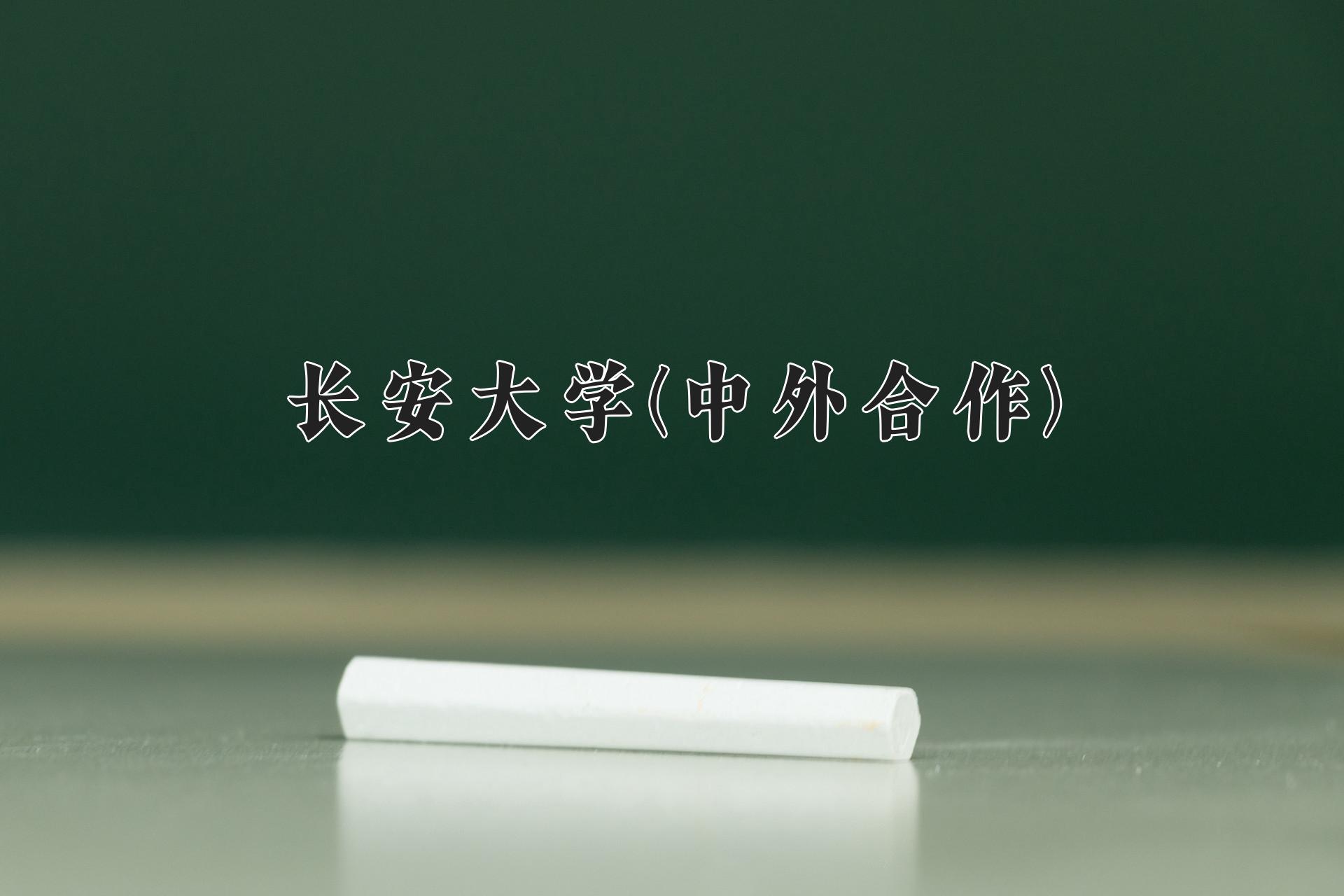 长安大学(中外合作)