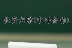 2024年长安大学(中外合作)在重庆计划招生人数（附学费及专业录取分)