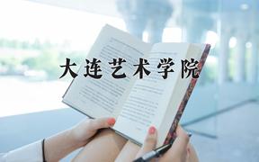 2024年大连艺术学院在河北计划招生人数（附学费及专业录取分)