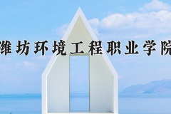 2024年潍坊环境工程职业学院在重庆计划招生人数（附学费及专业录取分)