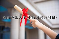 2024年河北师范大学(少数民族预科班)在河北计划招生人数（附学费及专业录取分)